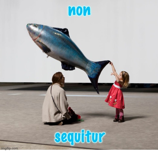 non; sequitur | image tagged in fish,dada,nonsense | made w/ Imgflip meme maker