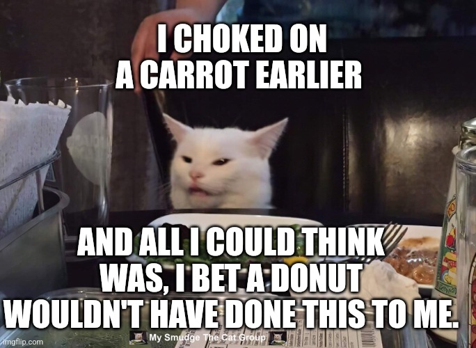 I CHOKED ON A CARROT EARLIER; AND ALL I COULD THINK WAS, I BET A DONUT WOULDN'T HAVE DONE THIS TO ME. | image tagged in smudge the cat | made w/ Imgflip meme maker