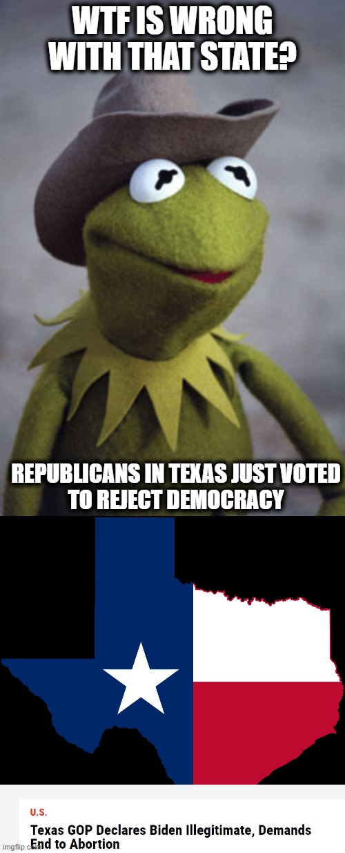 Republicans hate democracy and freedom | WTF IS WRONG WITH THAT STATE? REPUBLICANS IN TEXAS JUST VOTED TO REJECT DEMOCRACY | image tagged in texas kermit,texas map,memes,politics,treason,texas | made w/ Imgflip meme maker