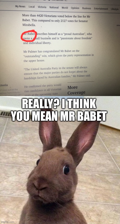 I noticed a typo while reading the Herald Sun | REALLY? I THINK YOU MEAN MR BABET | image tagged in really rabbit,not political,error,typos,rabet,newspaper | made w/ Imgflip meme maker