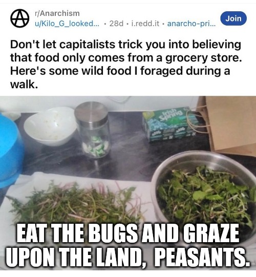 The 20th Century looks better and better every day. | EAT THE BUGS AND GRAZE UPON THE LAND,  PEASANTS. | image tagged in memes,politics,democratic socialism,liberalism,progressives,anarchism | made w/ Imgflip meme maker