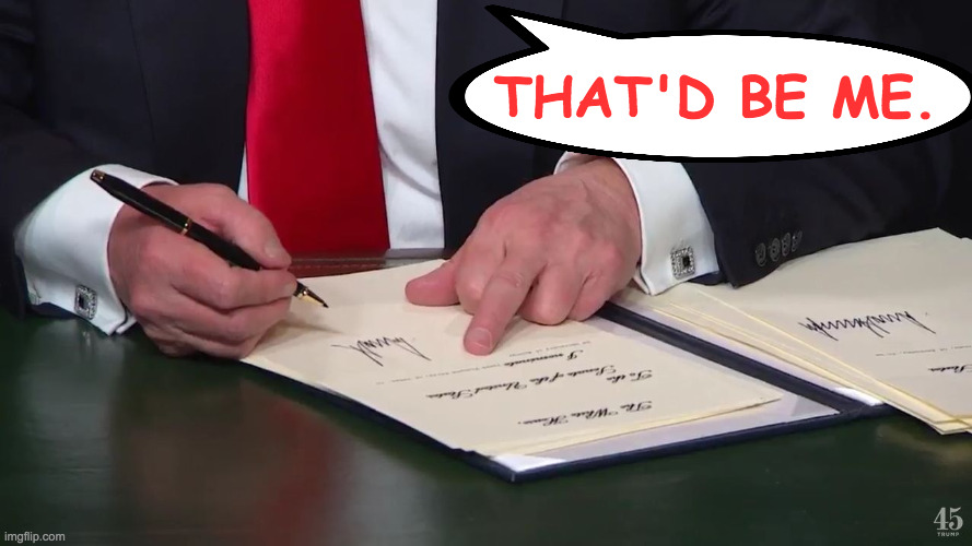 trump signing middle finger | THAT'D BE ME. | image tagged in trump signing middle finger | made w/ Imgflip meme maker