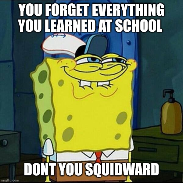 Don't you squidward | YOU FORGET EVERYTHING YOU LEARNED AT SCHOOL DONT YOU SQUIDWARD | image tagged in don't you squidward | made w/ Imgflip meme maker