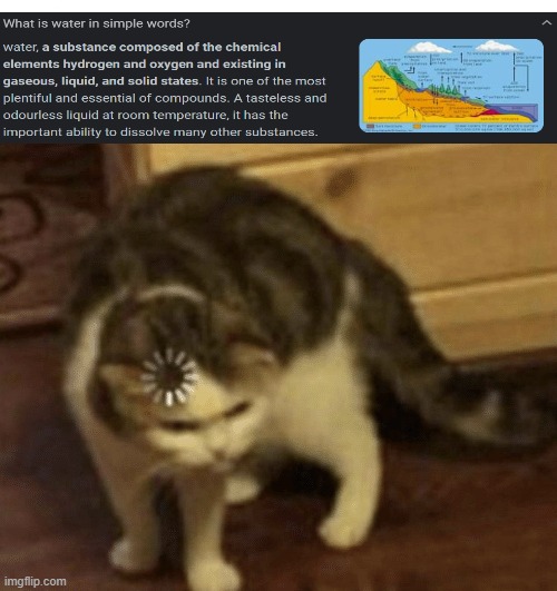 Cat Loading template | image tagged in cat loading template | made w/ Imgflip meme maker