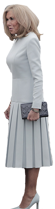 Jean-Michel Trogneux Blank Meme Template