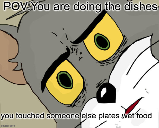 Unsettled Tom Meme | POV:You are doing the dishes; you touched someone else plates wet food | image tagged in memes,unsettled tom | made w/ Imgflip meme maker