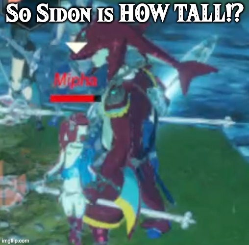 Sorry for the bad screenshot, mipha was trying to kill me | So Sidon is HOW TALL!? | image tagged in screenshot,age of calamity,the legend of zelda breath of the wild,siblings | made w/ Imgflip meme maker