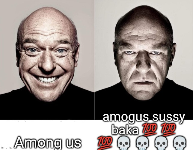 not funni | Among us; amogus sussy baka 💯 💯 💯 💀 💀 💀 💀 | image tagged in breaking bad smile frown,not funny | made w/ Imgflip meme maker