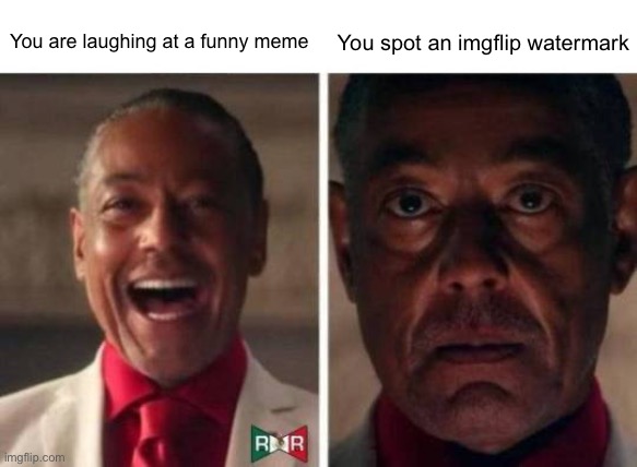 gus fring | You spot an imgflip watermark; You are laughing at a funny meme | image tagged in gus fring,memes | made w/ Imgflip meme maker