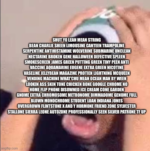 Flightreacts crying | SHUT YO LEAN MEAN STRING BEAN CHARLIE SHEEN LIMOUSINE CANTEEN TRAMPOLINE SERPENTINE ANTIHISTAMINE WOLVERINE SUBMARINE UNCLEAN NECTARINE BROKEN GENE HALLOWEEN DEFECTIVE SPLEEN SMOKESCREEN JAMES GREEN PUTTING GREEN TINY PEEN ANTI VACCINE AQUAMARINE EUGENE EXTRA GREEN NICOTINE VASELINE JELLYBEAN MAGAZINE PROTIEN LIGHTNING MCQUEEN VENDING MACHINE WHAT'CHU MEAN OCEAN MAN BY WEEN LOOKIN ASS SKIN TONE CHICKEN BONE GOOGLE CHROME NO HOME FLIP PHONE DISOWNED ICE CREAM CONE GARDEN GNOME EXTRA CHROMOSOME METRONOME DIMMADOME GENOME FULL BLOWN MONOCHROME STUDENT LOAN INDIANA JONES OVERGROWN FLINTSTONE X AND Y HORMONE FRIEND ZONE SYLVESTER STALLONE SIERRA LEONE AUTOZONE PROFESSIONALLY SEEN SILVER PATRONE TF UP | image tagged in flightreacts crying | made w/ Imgflip meme maker