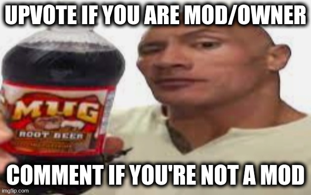 I wanna see how many mods/owners there are, and how many people without mod there are | UPVOTE IF YOU ARE MOD/OWNER; COMMENT IF YOU'RE NOT A MOD | image tagged in the rock mug root beer | made w/ Imgflip meme maker