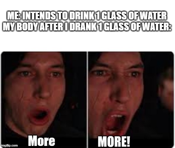 ah yes | ME: INTENDS TO DRINK 1 GLASS OF WATER
MY BODY AFTER I DRANK 1 GLASS OF WATER: | image tagged in kylo ren more,wotah,water | made w/ Imgflip meme maker
