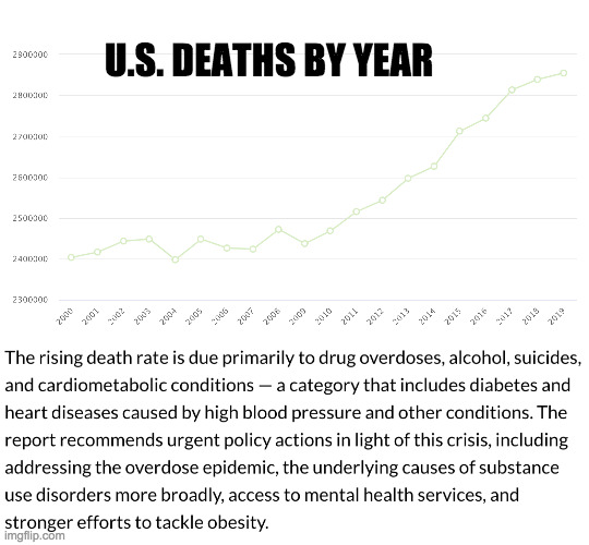 From a 2021 report by the National Academies.  Refs in the comments. | U.S. DEATHS BY YEAR | image tagged in memes,us deaths | made w/ Imgflip meme maker
