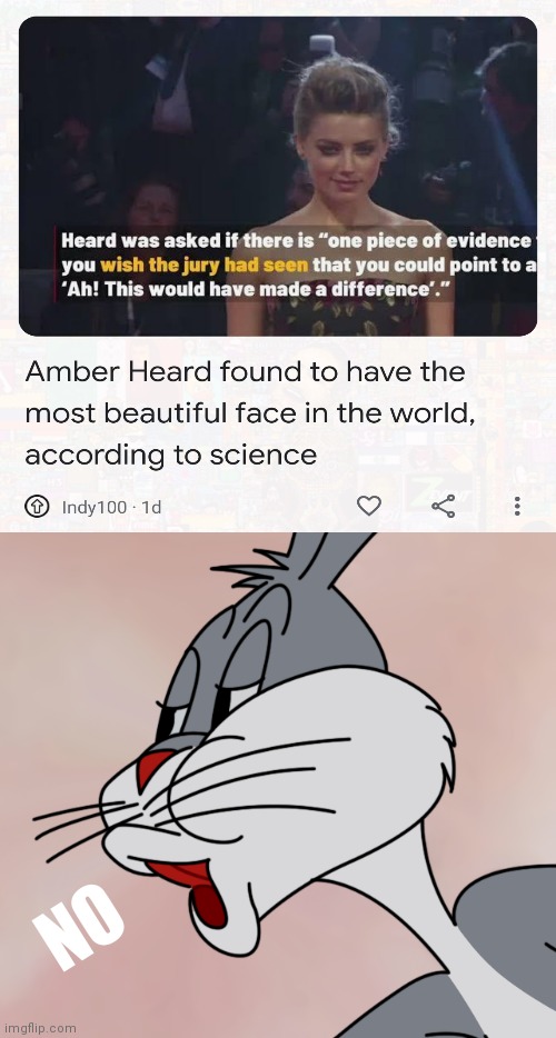 ¯\_(ツ)_/¯ | NO | image tagged in bugs bunny no,bugs bunny,no,amber heard | made w/ Imgflip meme maker