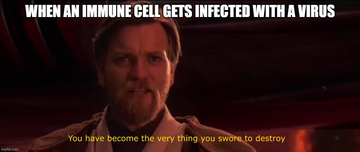 ffs immune system | WHEN AN IMMUNE CELL GETS INFECTED WITH A VIRUS | image tagged in you have become the very thing you swore to destroy | made w/ Imgflip meme maker
