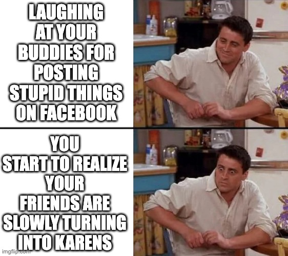 Surprised Joey | LAUGHING AT YOUR BUDDIES FOR POSTING STUPID THINGS ON FACEBOOK; YOU START TO REALIZE YOUR FRIENDS ARE SLOWLY TURNING INTO KARENS | image tagged in surprised joey,memes | made w/ Imgflip meme maker