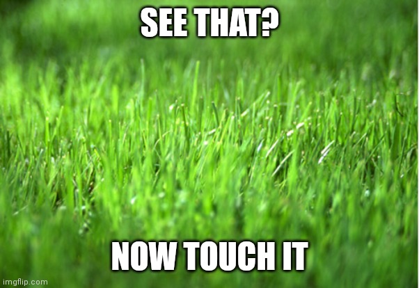 grass is greener | SEE THAT? NOW TOUCH IT | image tagged in grass is greener | made w/ Imgflip meme maker