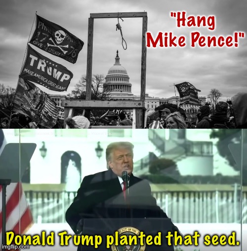 January 6 | "Hang 
Mike Pence!"; Donald Trump planted that seed. | image tagged in capitol hill riot gallows,trump january 6 asks insurrectionists to overturn the election | made w/ Imgflip meme maker