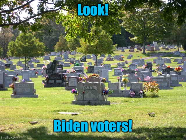 cemetery | Look! Biden voters! | image tagged in cemetery | made w/ Imgflip meme maker