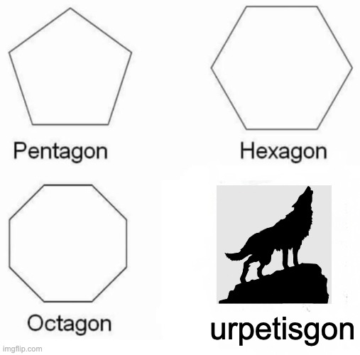 Pentagon Hexagon Octagon | urpetisgon | image tagged in memes,pentagon hexagon octagon,pets,funny,funny memes,aaaaand its gone | made w/ Imgflip meme maker