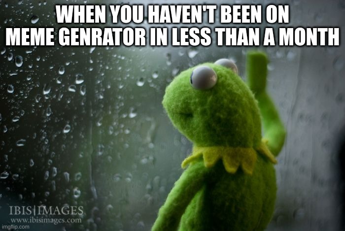 kermit window | WHEN YOU HAVEN'T BEEN ON MEME GENRATOR IN LESS THAN A MONTH | image tagged in kermit window | made w/ Imgflip meme maker