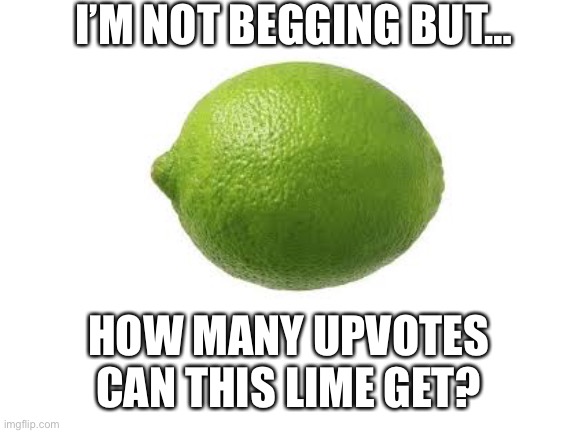 Lime | I’M NOT BEGGING BUT…; HOW MANY UPVOTES CAN THIS LIME GET? | image tagged in fruit | made w/ Imgflip meme maker