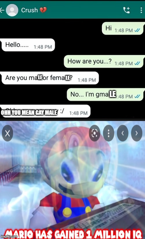 sorry if it was blurry | LE; LE; LE; OHH YOU MEAN GAY MALE | made w/ Imgflip meme maker