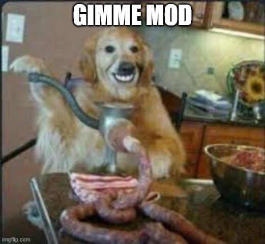 MEAT DOG | GIMME MOD | image tagged in meat dog | made w/ Imgflip meme maker