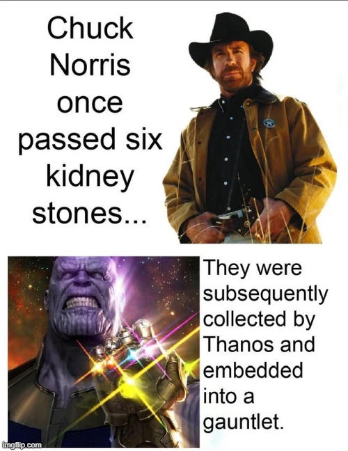 Sounds Right | image tagged in thanos,chuck norris | made w/ Imgflip meme maker