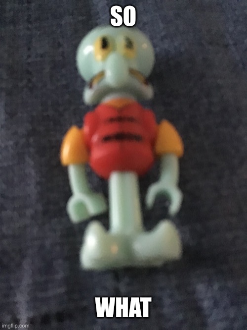 Lego Squidward | SO; WHAT | image tagged in lego squidward | made w/ Imgflip meme maker