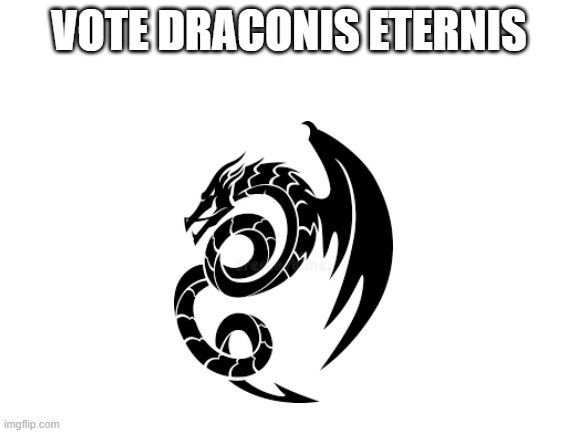 Vote for Draconis Eternis! | VOTE DRACONIS ETERNIS | image tagged in blank white template | made w/ Imgflip meme maker