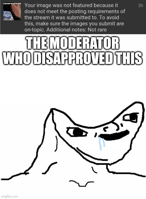 Bruh they approve not rare insults and why is mine getting disapprpved when its a fact | THE MODERATOR WHO DISAPPROVED THIS | image tagged in retard wojak | made w/ Imgflip meme maker