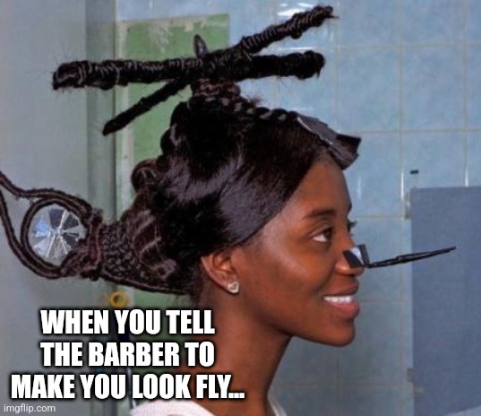 helicopter haircut | WHEN YOU TELL THE BARBER TO MAKE YOU LOOK FLY... | image tagged in helicopter haircut | made w/ Imgflip meme maker