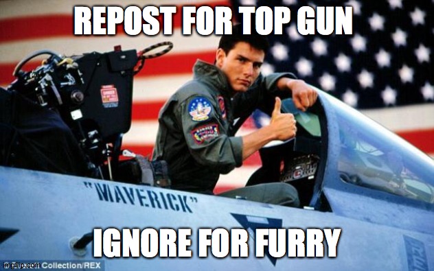 i feel the need the need to kill furries with a f 14 | REPOST FOR TOP GUN; IGNORE FOR FURRY | image tagged in top gun | made w/ Imgflip meme maker
