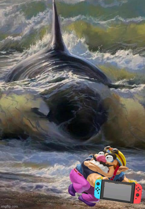Wario dies by an Orca Whale while playing on the Nintendo Switch.mp3 | image tagged in wario dies,wario,orca,whale,killer whale,animals | made w/ Imgflip meme maker