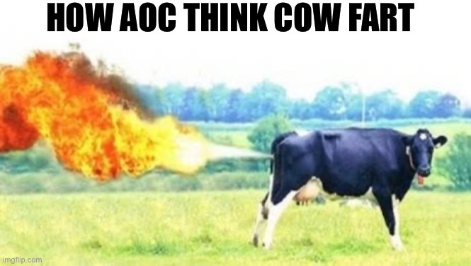 AOC Fart Cow | HOW AOC THINK COW FART | image tagged in fire farting cow,aoc | made w/ Imgflip meme maker