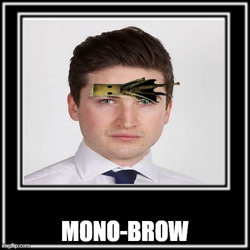Please end me. | MONO-BROW | image tagged in little nightmares,mono,forehead,some dude | made w/ Imgflip meme maker