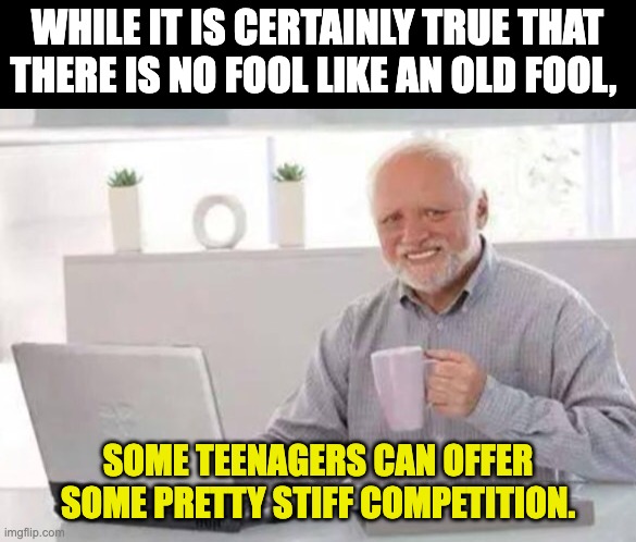Fool | WHILE IT IS CERTAINLY TRUE THAT THERE IS NO FOOL LIKE AN OLD FOOL, SOME TEENAGERS CAN OFFER SOME PRETTY STIFF COMPETITION. | image tagged in harold | made w/ Imgflip meme maker