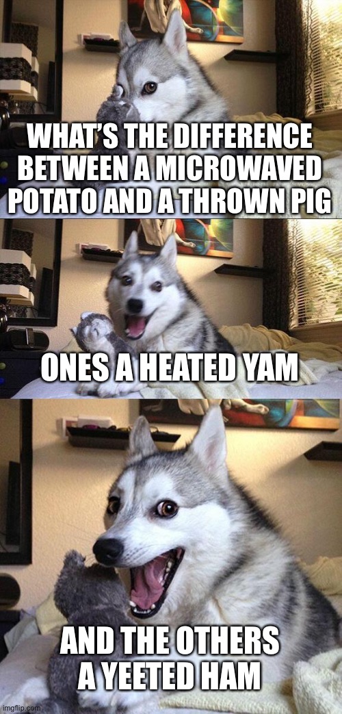 I wish I had a husky to tell me bad puns | WHAT’S THE DIFFERENCE BETWEEN A MICROWAVED POTATO AND A THROWN PIG; ONES A HEATED YAM; AND THE OTHERS A YEETED HAM | image tagged in memes,bad pun dog | made w/ Imgflip meme maker