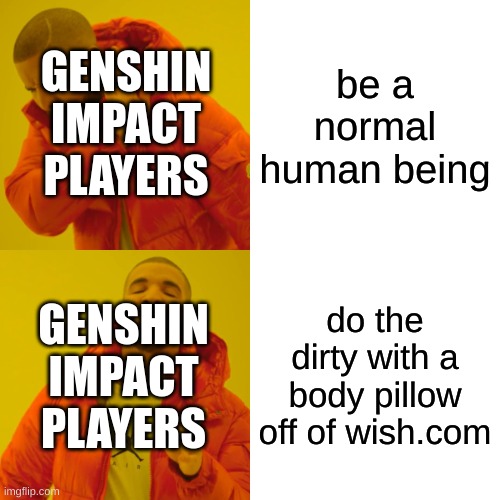 genshin impact fandom be down bad |  GENSHIN IMPACT PLAYERS; be a normal human being; GENSHIN IMPACT PLAYERS; do the dirty with a body pillow off of wish.com | image tagged in memes,drake hotline bling,genshin impact,funny,funny memes | made w/ Imgflip meme maker