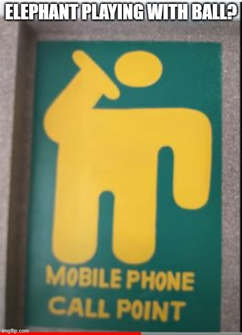 Here's You Call Sign | ELEPHANT PLAYING WITH BALL? | image tagged in you had one job | made w/ Imgflip meme maker