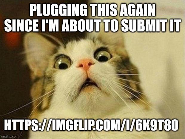 . | PLUGGING THIS AGAIN SINCE I'M ABOUT TO SUBMIT IT; HTTPS://IMGFLIP.COM/I/6K9T80 | image tagged in memes,scared cat | made w/ Imgflip meme maker