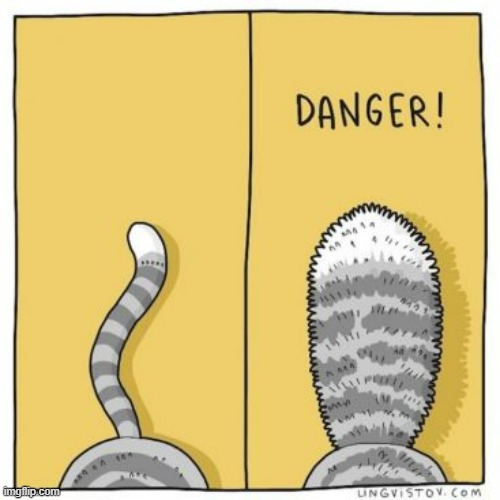 A Cat's Way Of Thinking | image tagged in memes,comics,cats,tail,tell me,mood | made w/ Imgflip meme maker