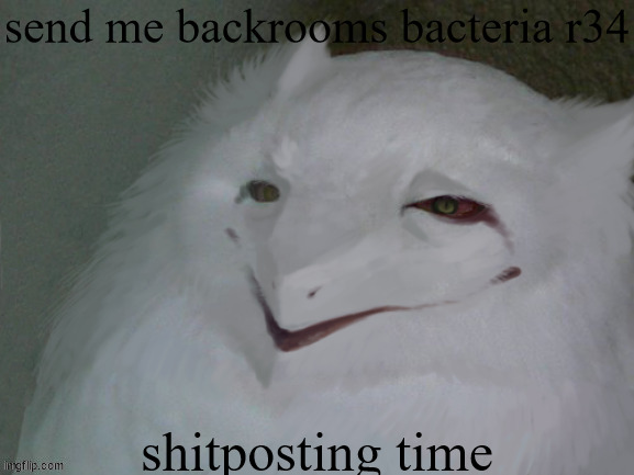 a literal egg | send me backrooms bacteria r34; shitposting time | image tagged in a literal egg | made w/ Imgflip meme maker