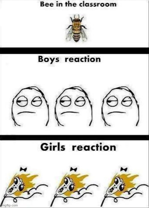 image tagged in memes | made w/ Imgflip meme maker