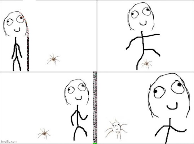 when you try not to show your fear of spiders | image tagged in comics | made w/ Imgflip meme maker