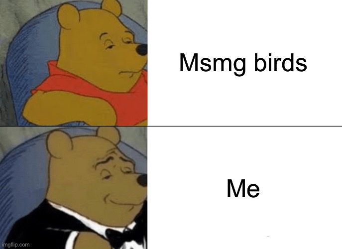 Also don’t look up not Animefan208 he isn’t not me | Msmg birds; Me | image tagged in memes,tuxedo winnie the pooh | made w/ Imgflip meme maker