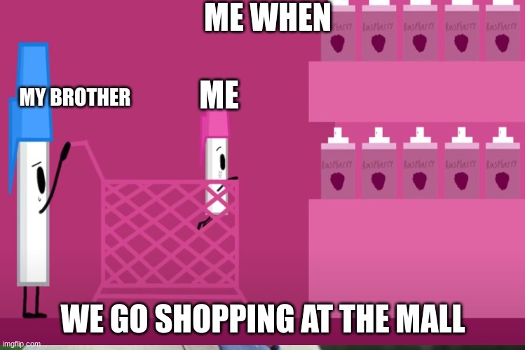 Pen pushing Penny on a shopping cart meme | ME WHEN; ME; MY BROTHER; WE GO SHOPPING AT THE MALL | image tagged in bfdi | made w/ Imgflip meme maker
