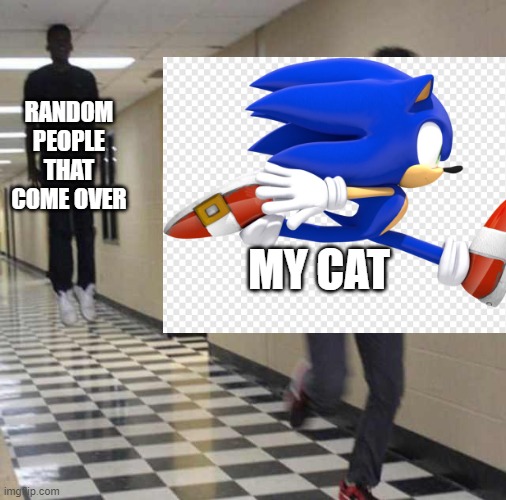 RANDOM PEOPLE THAT COME OVER; MY CAT | image tagged in cats | made w/ Imgflip meme maker