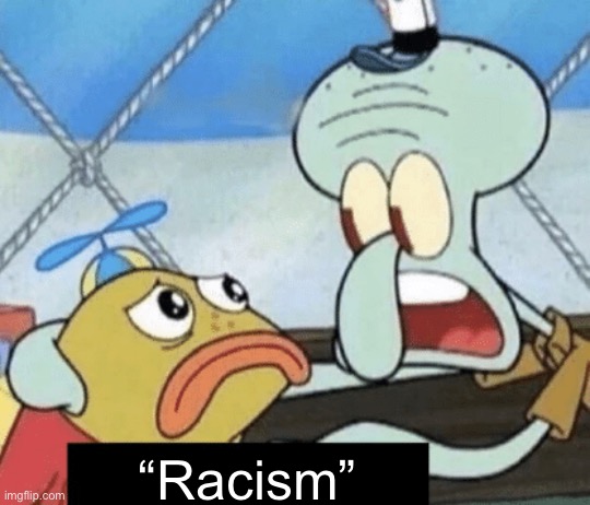 racial slurs | “Racism” | image tagged in racial slurs | made w/ Imgflip meme maker